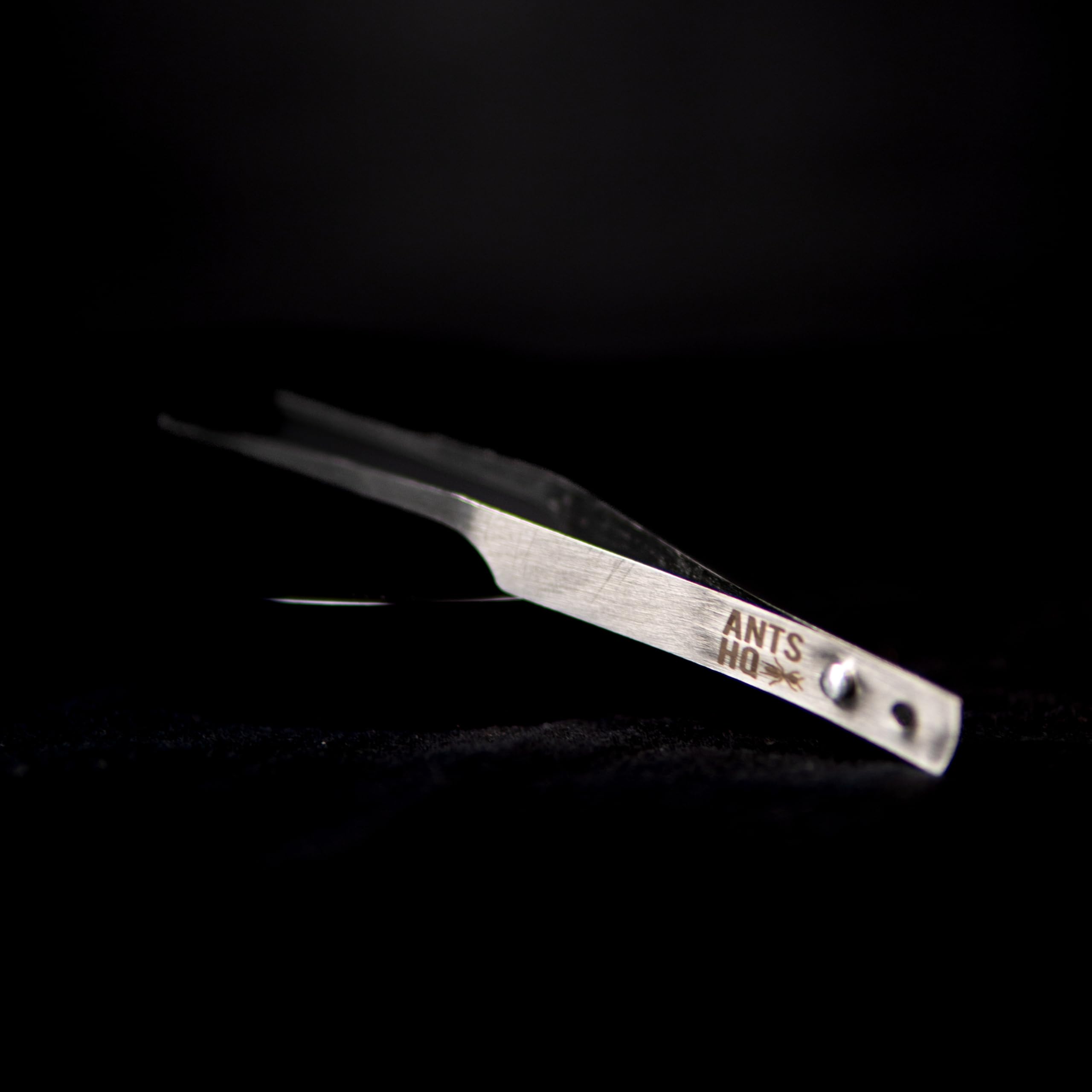 ANTS HQ - Insect handling tweezers