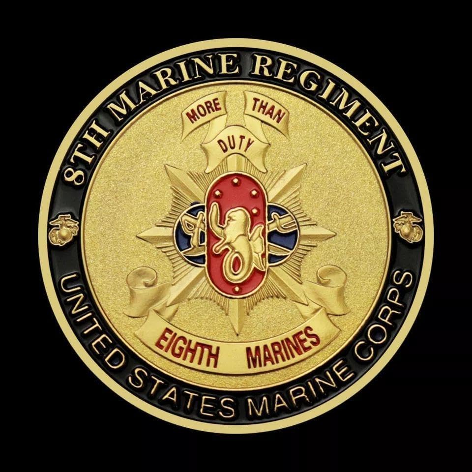 アメリカ海軍 NAVY TOM CAT F-14 チャレンジコイン US NAVY チャレンジ