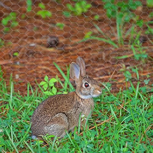 Chicken Wire 13.7 in x 236 in Poultry Wire Netting Hexagonal Galvanized Mesh Garden Fence Barrier for Craft Projects, Pet Rabbit Chicken Fencing - 5