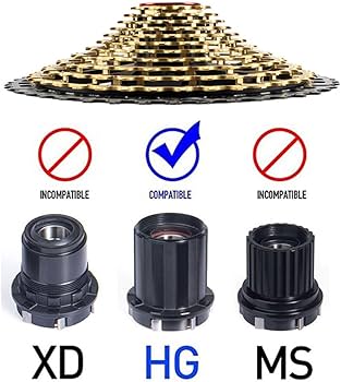 61vB-OkHiiL._AC_UF350,