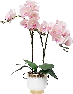 SSZMDLB Under $5 Artificial Orchid Plant, Silk Phalaenopsis Flower In Pot, Lifelike Centerpiece For Home Office Wedding Decor - View #3