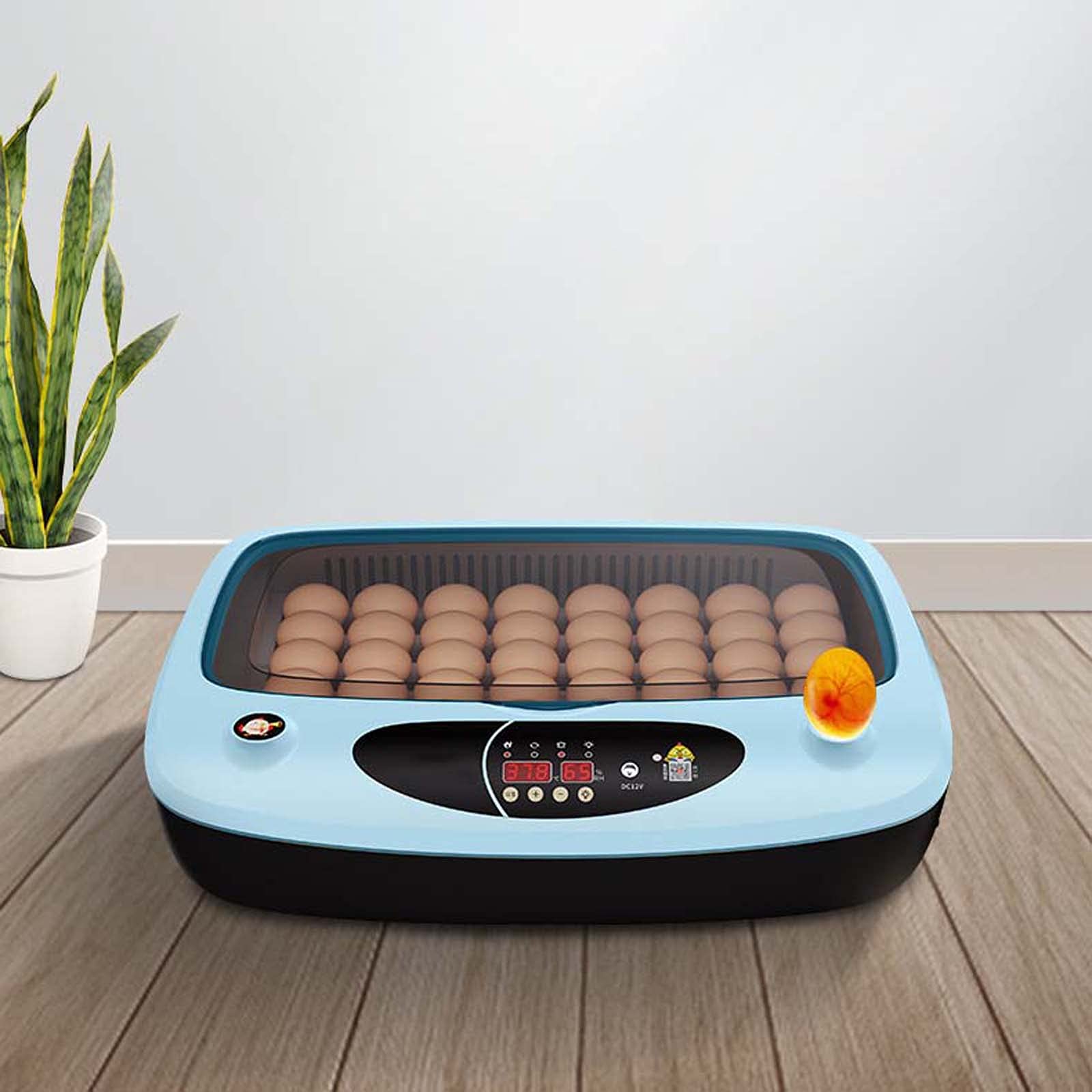 Incubadora de Huevos, máquina de incubación de Aves de Corral Completamente automática, criadora de máquina de incubación de Aves de Corral Digital Completamente automática, (Blue 36 Pieces)