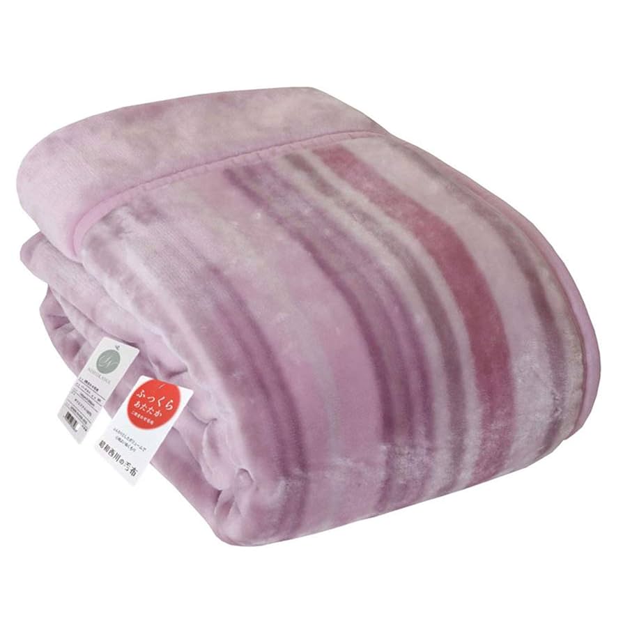 Amazon.co.jp: Showa Nishikawa 2-Ply Blanket, Single, Ultra