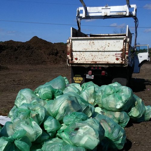 Unni 100% Compostable Bags, 13 Gallon, 49.2 Liter, 200 Count, Heavy Duty 0.85 Mil, Tall Kitchen Food Scrap Waste Bags, Astm D6400, En 13432, Us Bpi And Europe Ok Compost Home Certified, San Francisco #TOP7