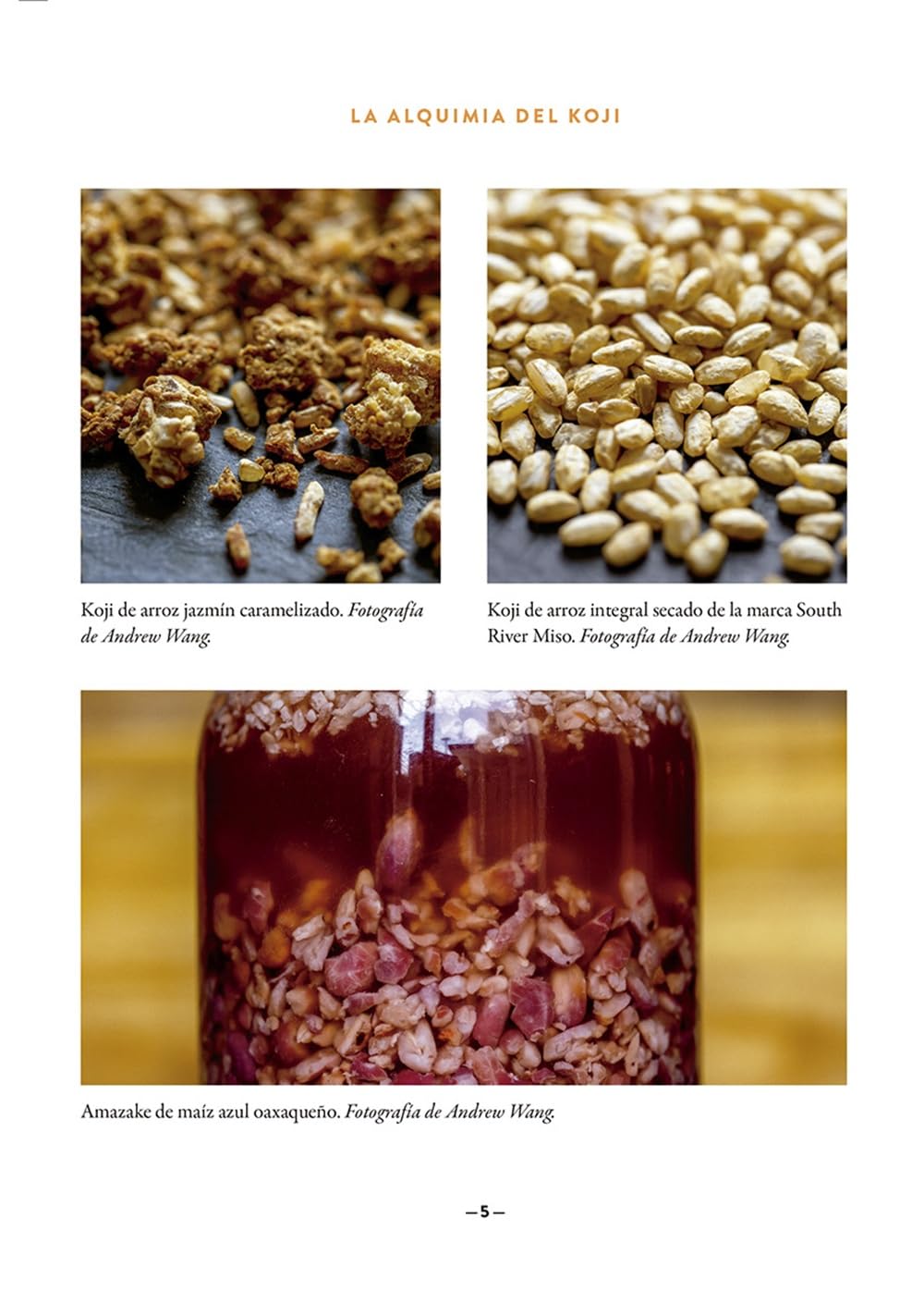 La alquimia del koji: El arte de la fermentación con moho (NeoPerson Cook)