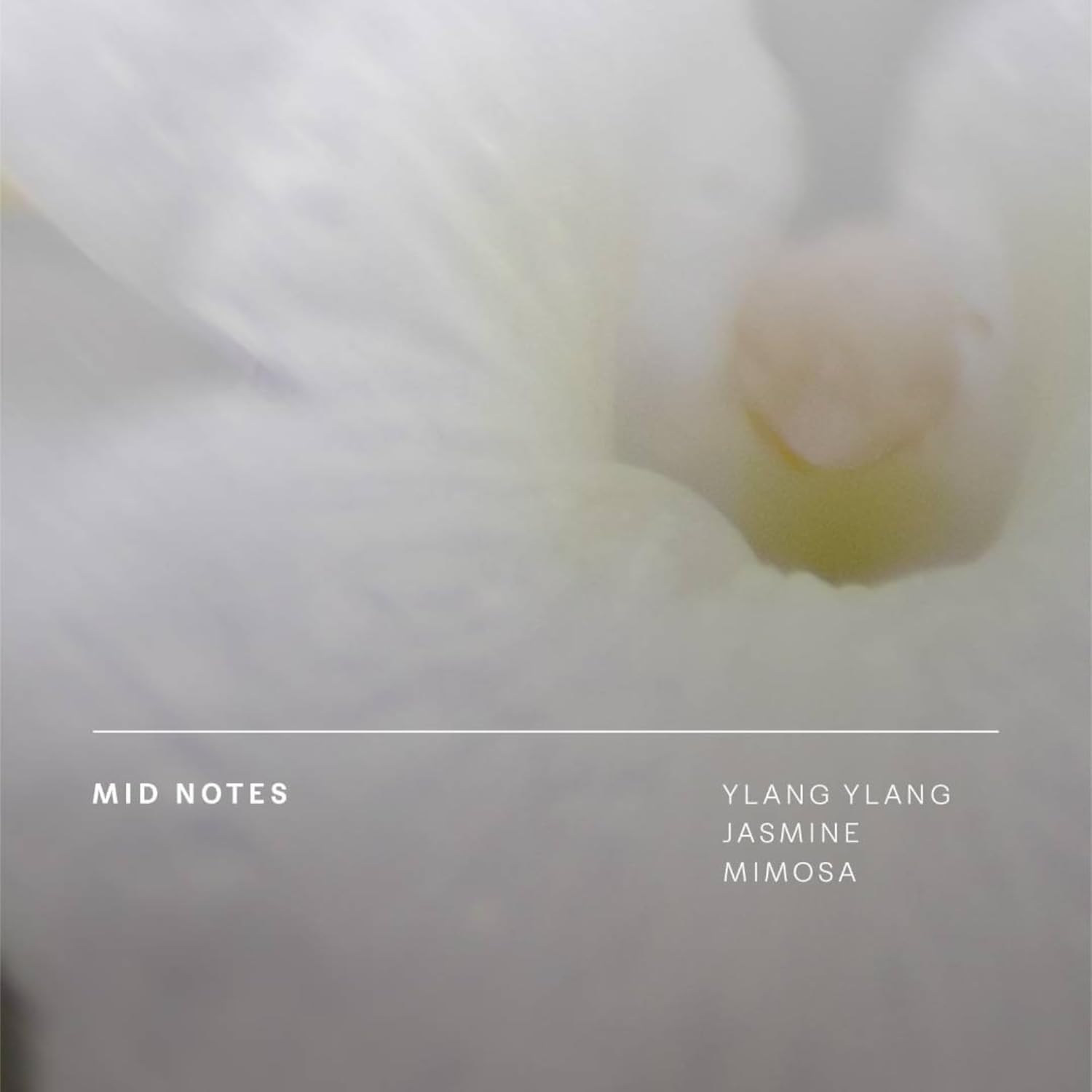 Future Society Grassland Opera Perfume - Rich Green Floral Eau de Parfum with Notes of Sage, Ginger, Ylang Ylang & Sandalwood - Luxury Perfume Inspired by Prairies - Modern Unisex Fragrance - 9.5ml - Image 5