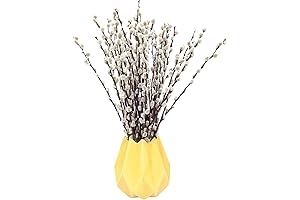 Lifelike Dried Pussy Willow Plant