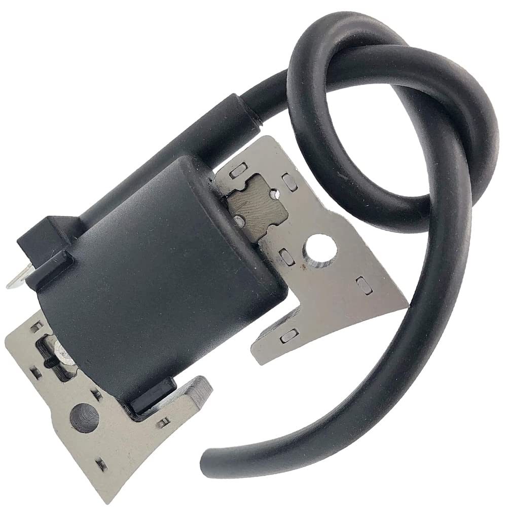 Realman 21121-2067 211212067 Module de bobine d'allumage pour moteurs Kawasaki 4 temps FE250D FE290D FE350D FE350G GE4000A GE4300A GE4500A GE5000A GEF00A GER30A