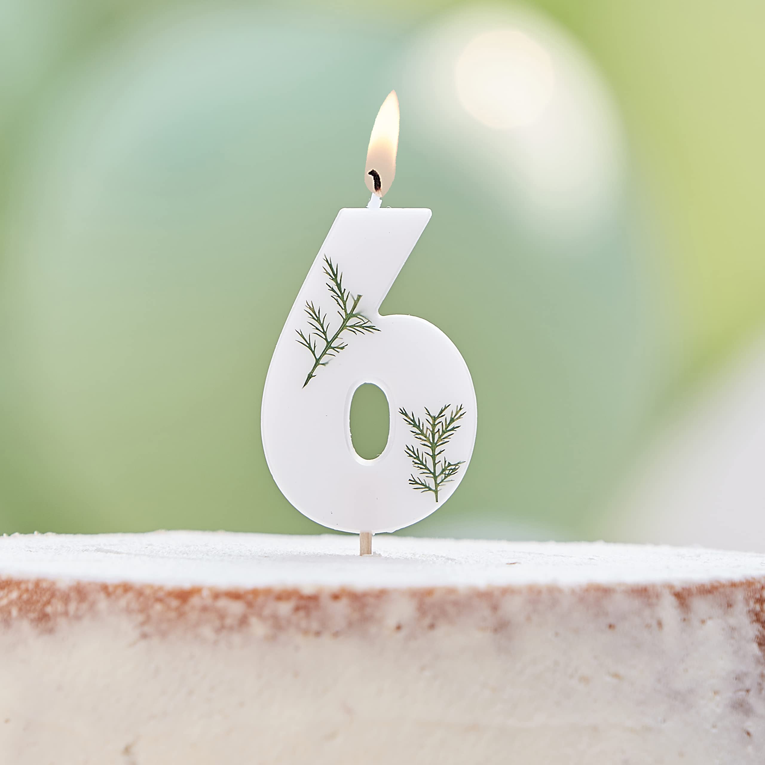 Ginger Ray Birthday Cake Candle Decoration Foliage Floral Eco Number 6