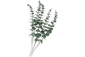 Tinsow 5 Pcs Real Touch Leaf Eucalyptus