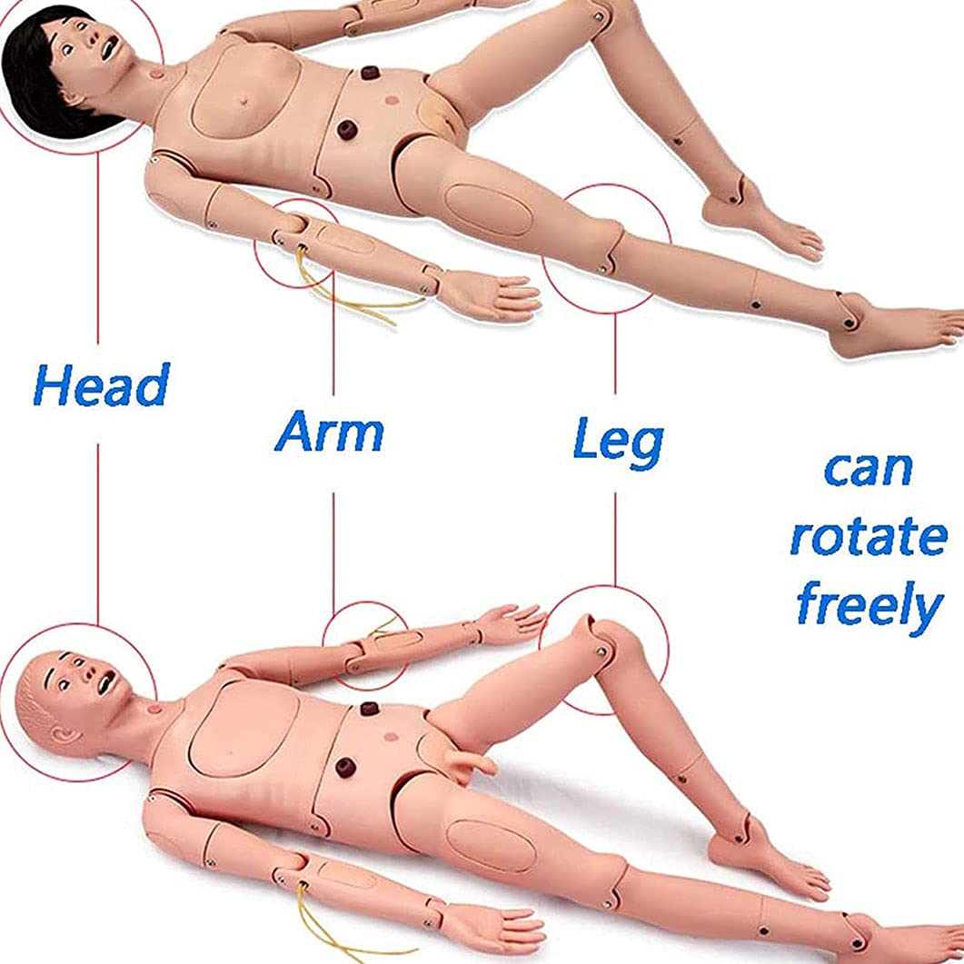 Mannequin de Soins aux Patients Fonctionnel, Mannequin Humain de démonstration Grandeur Nature de 66,92 Pouces, pour la Formation médicale infirmière, l'enseignement, l'éduca,Female