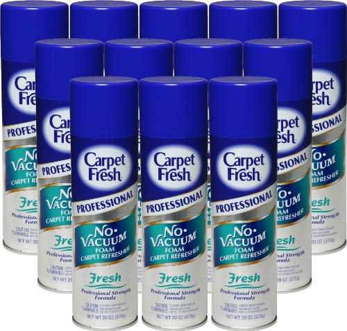 CarpetÂ FreshÂ Quick-Dry Foam,Â Â Professional, Â Fresh Scent, 20 OZ [12-Pack]