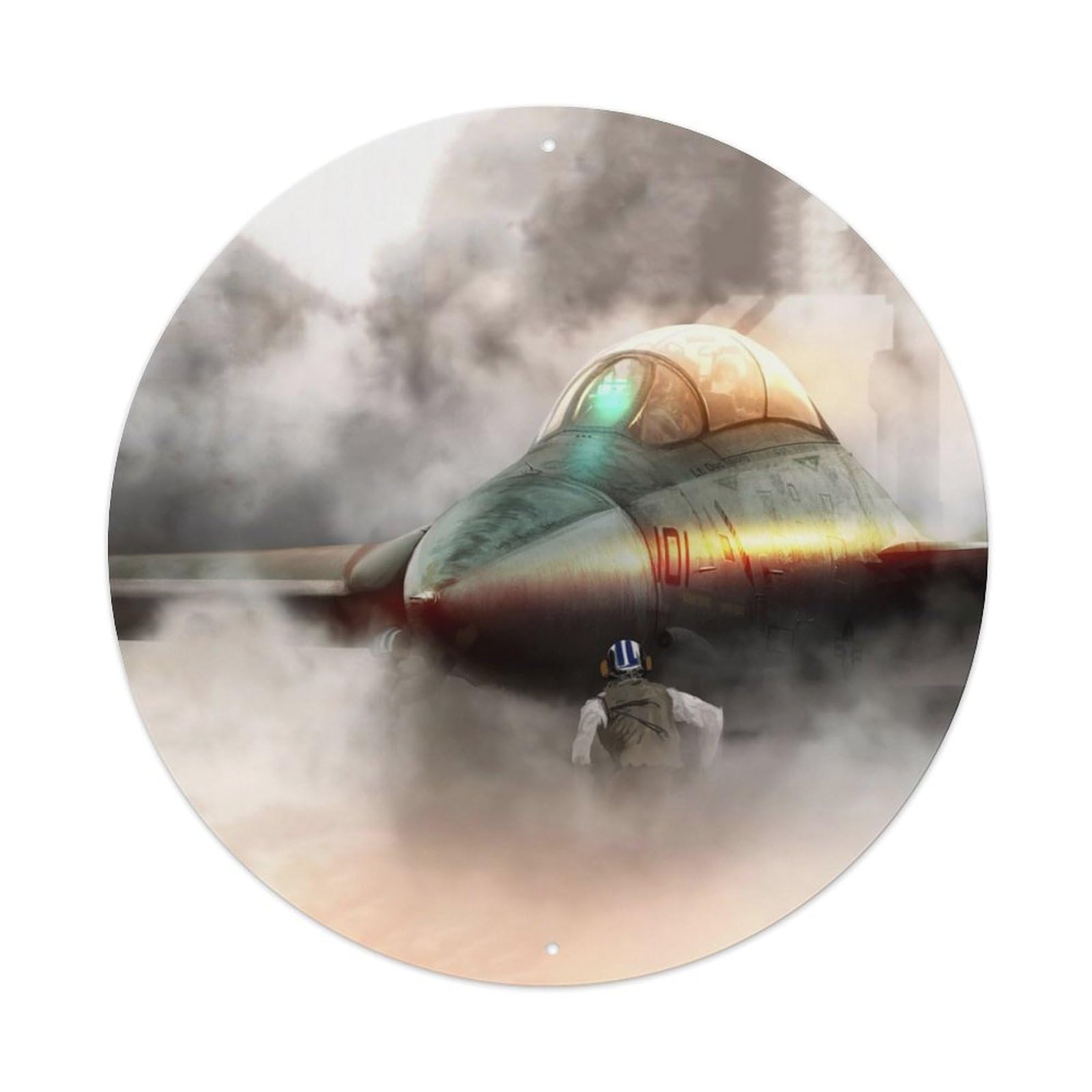 Olyhtr 8X8inch Classic Style F-14 Tomcat Carrier Fighter Military Aviation Metal Tin Sign