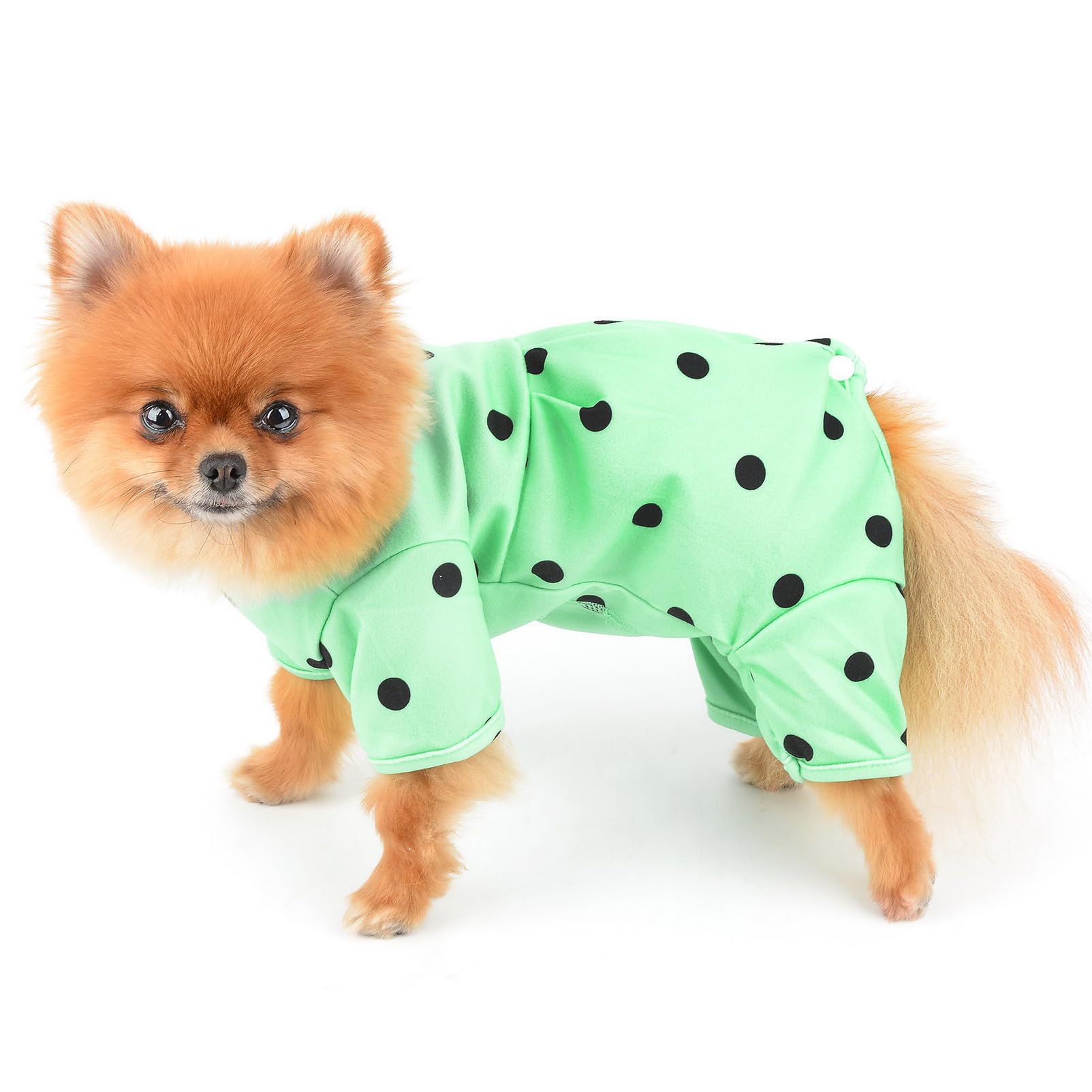 SMALLLEE_LUCKY_STORE Small Dog Clothes Cute Retro Dots Puppy Pajamas Pjs Belly Cover Cat Pyjamas Stretchy Jumpsuit Warm Sleepwear Outfits for Yorkie Chihuahua,Green,M - Image 2
