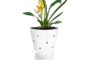 10-inch-wide Large Orchid Pots with Holes for Healthy Air Circulation and Drainage