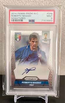 61vBVm97a6L._AC_UF350,