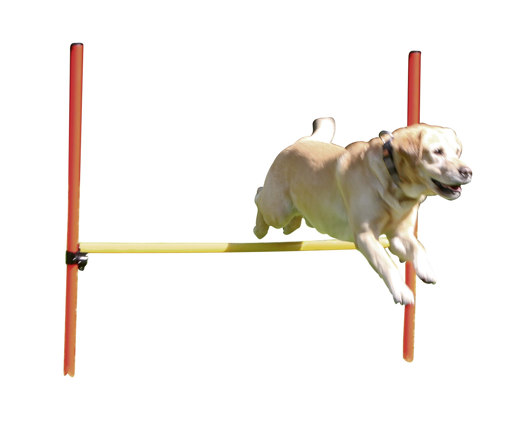 KERBL PET Agilidad Juego Completo 3 Piezas, Rojo/Amarillo