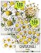 Seed Needs, Chamomile Seed Duo (Roman/German) Non-GMO