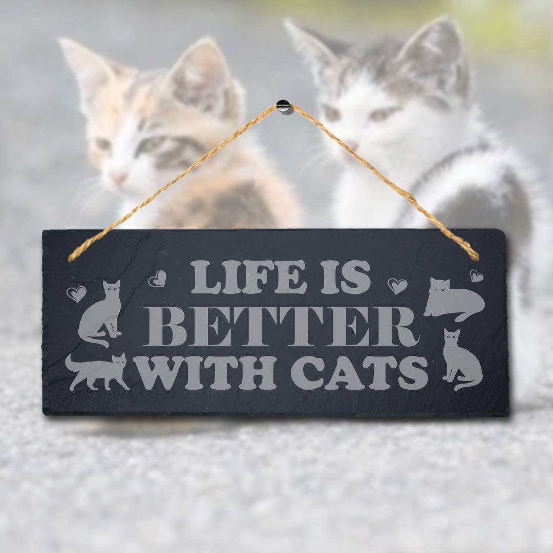 Stukk Dogs Pet Funny Laser Hanging Kitten Pup Puppy Home (Life is Better with Cats), Natural Engraved Slate Stone Plaque