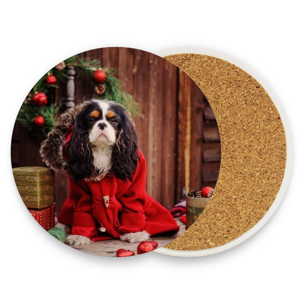 Set di 4 sottobicchieri assorbenti per bevande divertenti Jack Russell, sottobicchiere rotondo in ceramica con base in sughero, per tavolo in legno