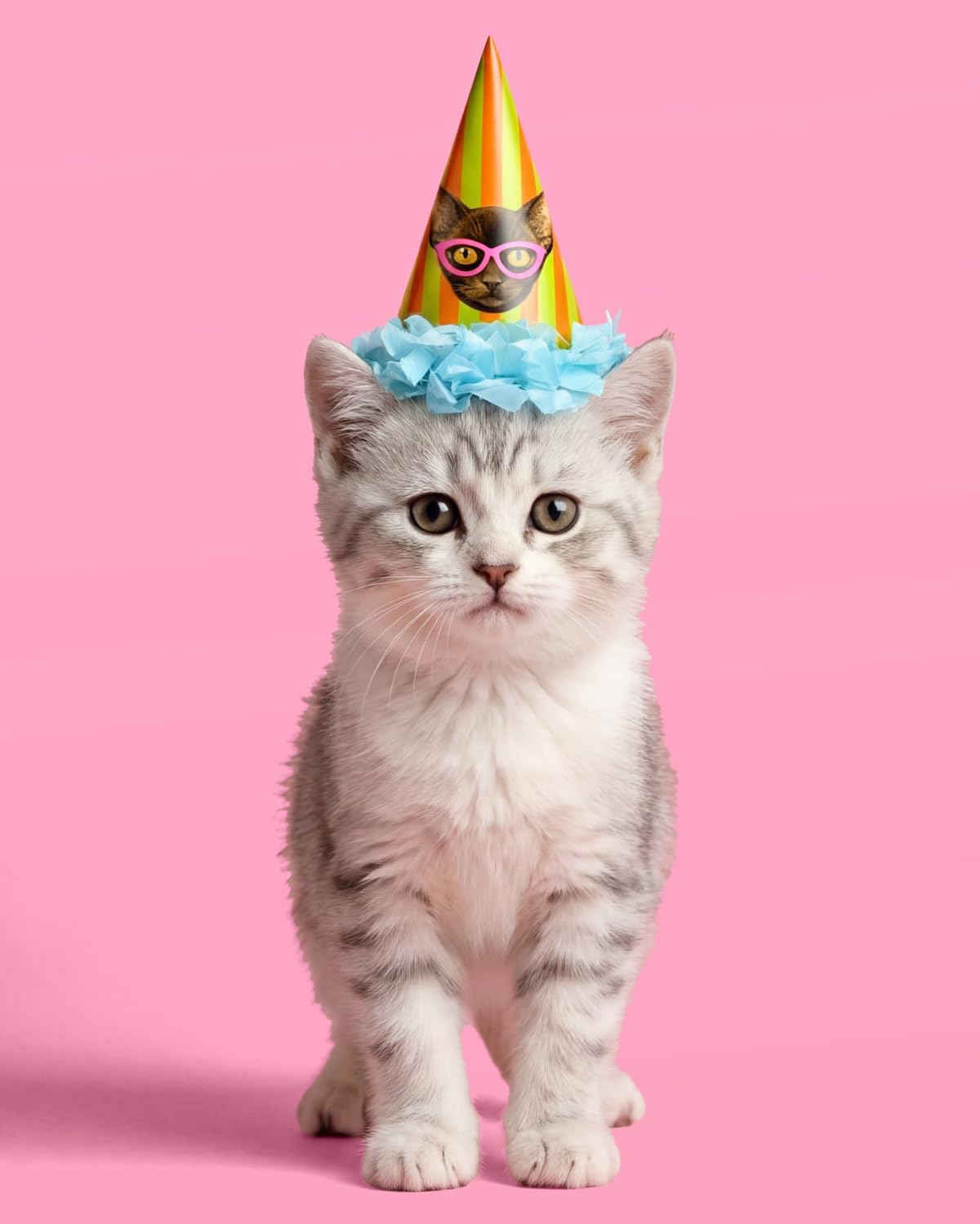xo, Fetti Cat Mini Party Hats - 10 Mini Hats | Kitty Birthday Party, Kids Party Favors, Striped Rainbow Decor, Funny Animal, Pink, Girly