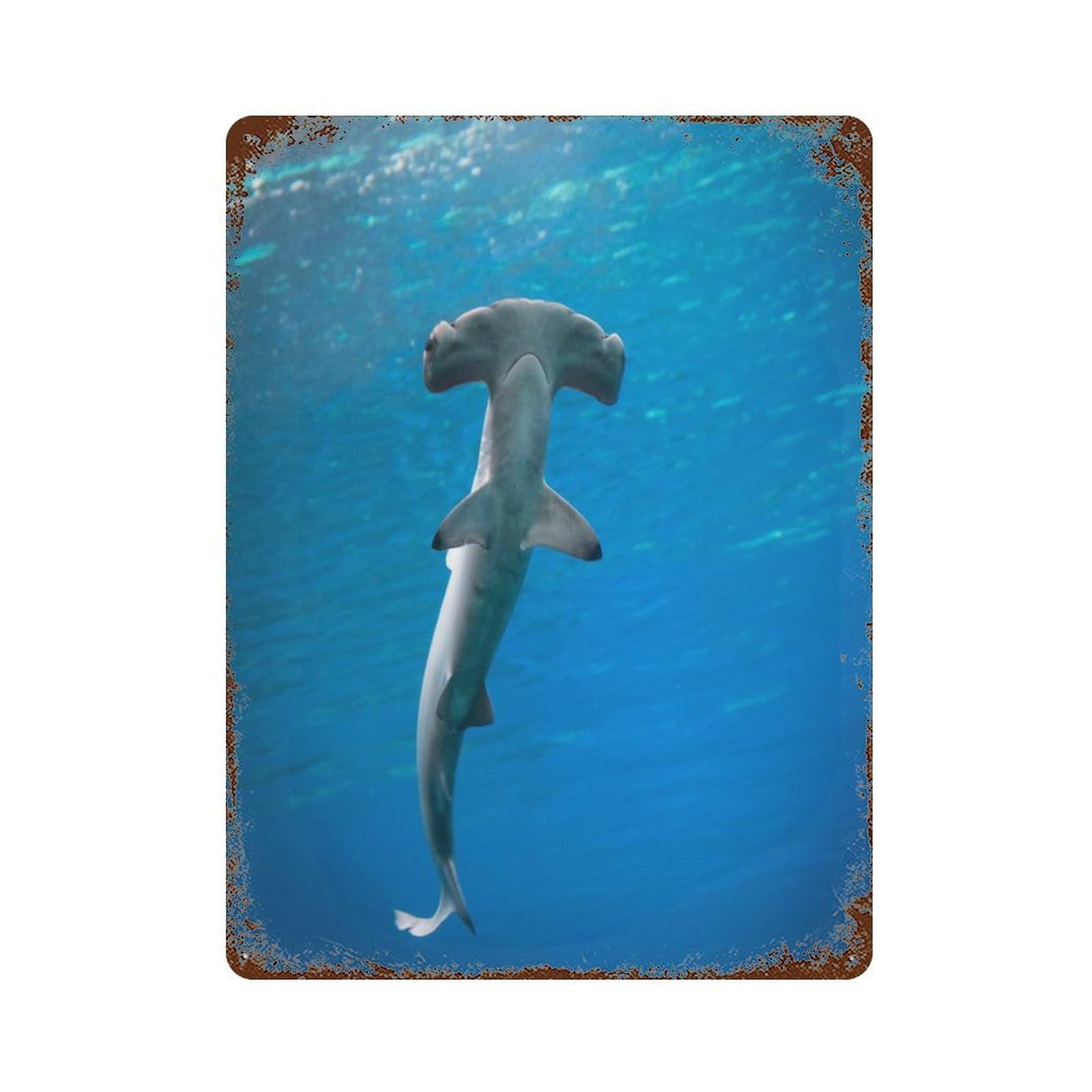 Aged Metal Wall Plaque with Hammerhead Shark in Blue Ocean Design 15.7"x11.8", for Shed, Workshop And Garage Wall Decor, Decorative Metal Wall Art