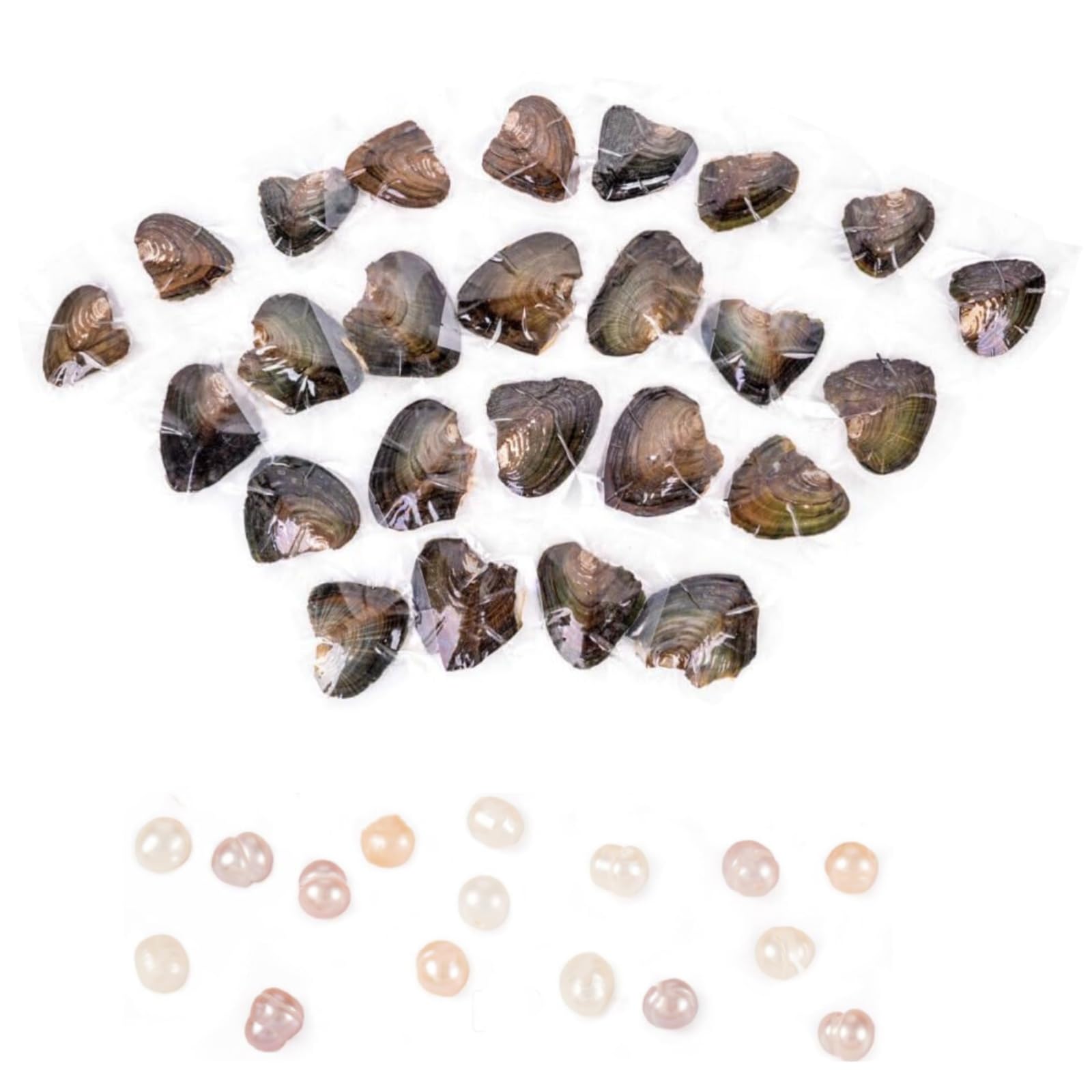25pcs Natural Oyster Pearlwit,Natural Freshwater Oyster Pearl with Real Pearls 7-8mm Pearl Individually Vacuum Pack