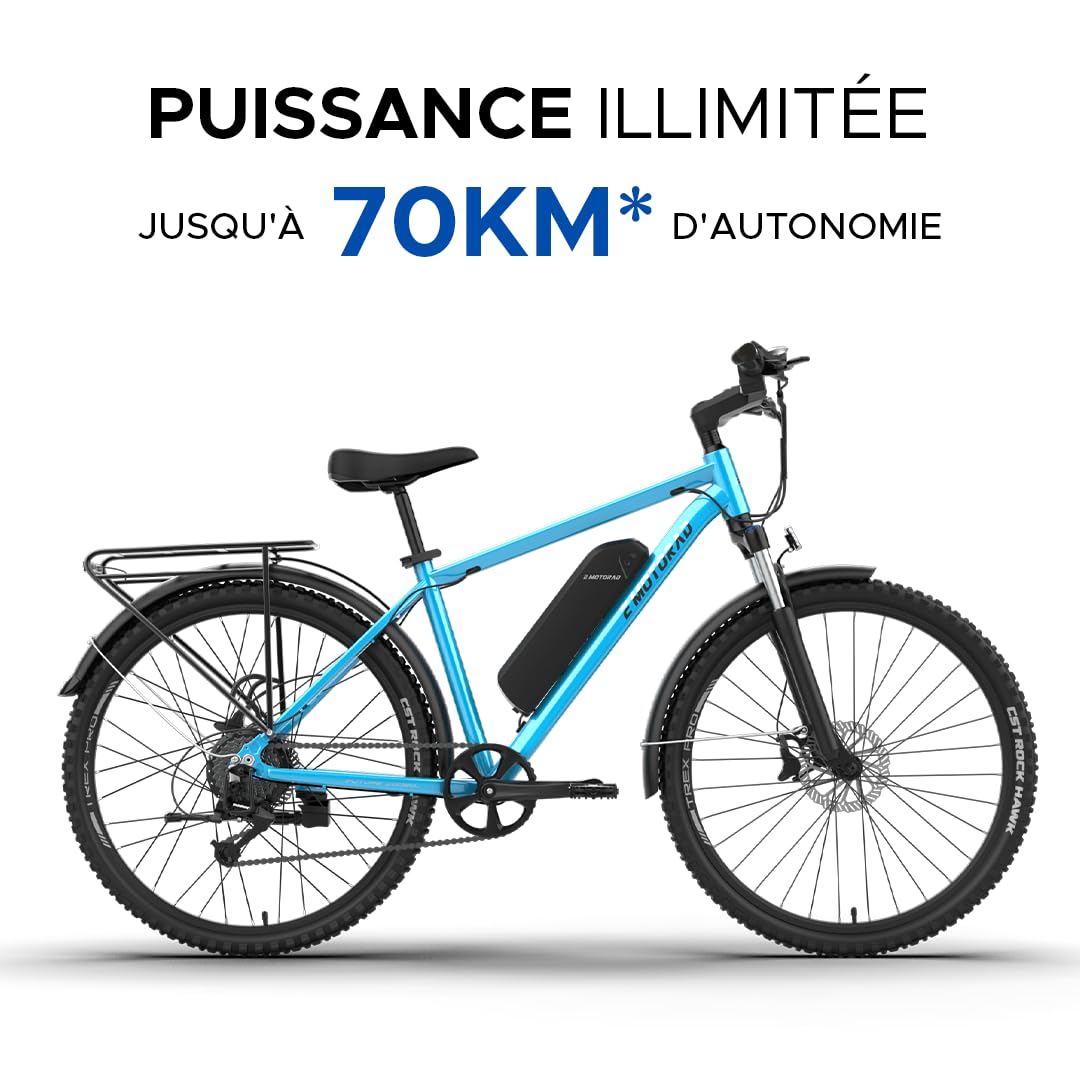 EMotorad T-Rex Pro | Vélo Électrique Tout-Terrain 250W | Batterie Amovible 13Ah | Autonomie jusqu'à 70 km | Moteur 36V 250W | Suspension 100 mm | Freins à Disque | Guidon Intégré avec Écran i13