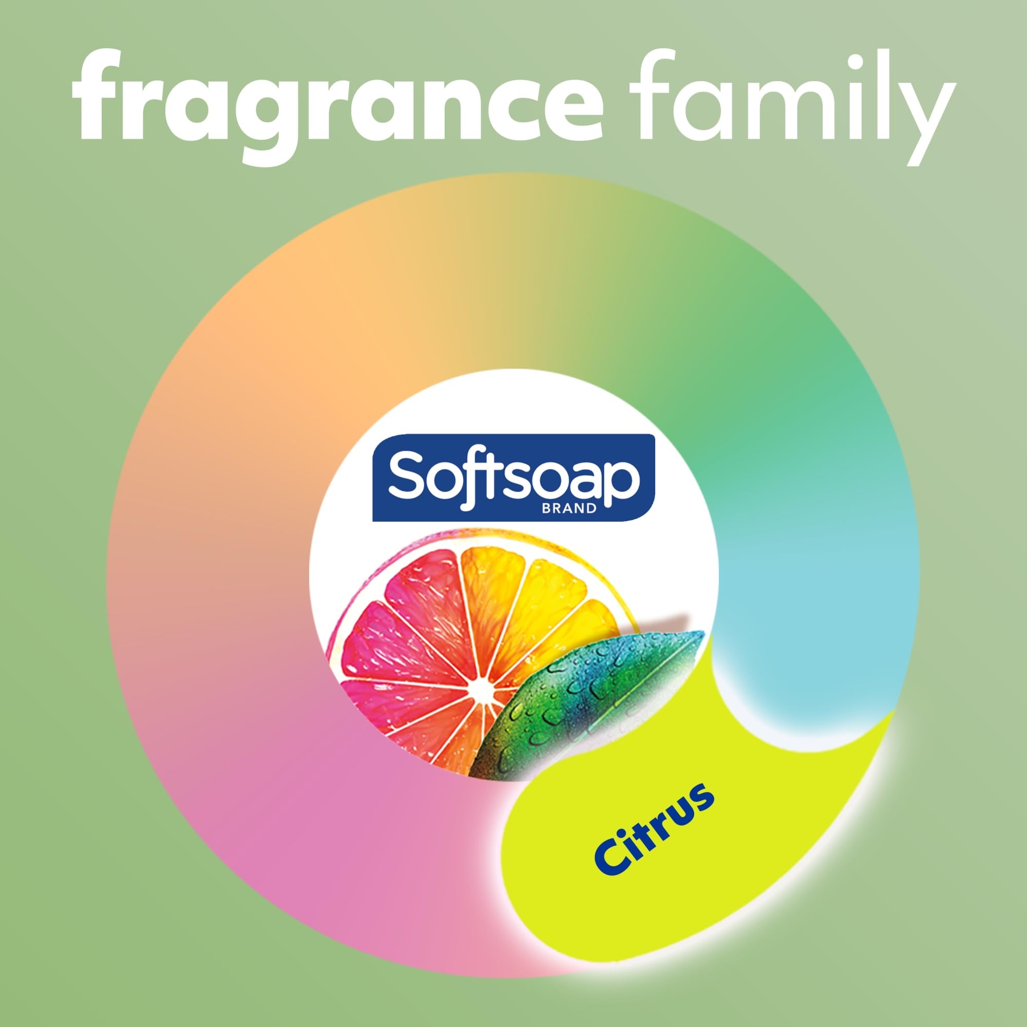 Softsoap Fresh Citrus Liquid Hand Soap Refills, 50 Fl Oz, Carton of 6