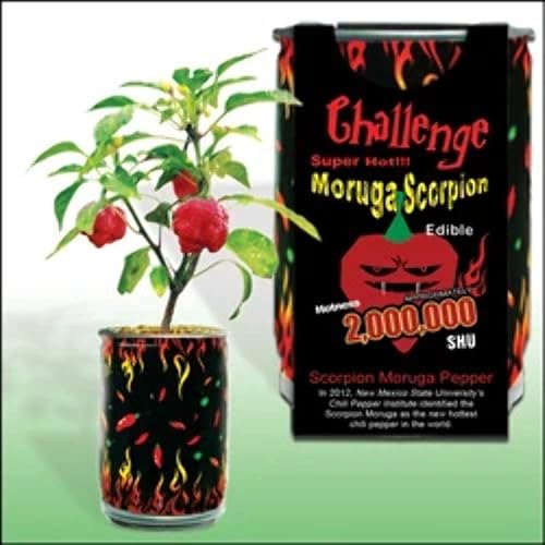 Moruga Escorpión PepperCrecer Su Propio Hottest Pepper en el mundo.2,000,000shu 3oz85gr
