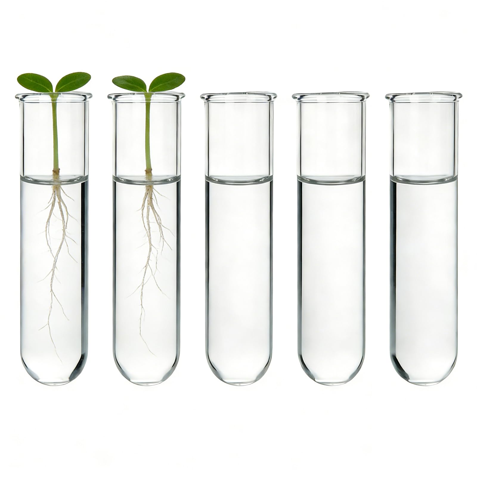 YIBOT Paquete de 5 tubos de propagación de plantas compatibles con contenedores de vidrio de 3 niveles montados en la pared, mini tubos de ensayo para plantas hidropónicas que cortan plantas