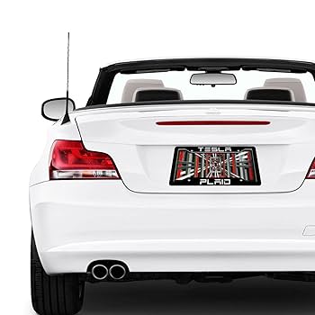 テスラプレート テスラ ポケットプレート Amazon.co.jp: ナンバープレートとフレーム テスラフロント