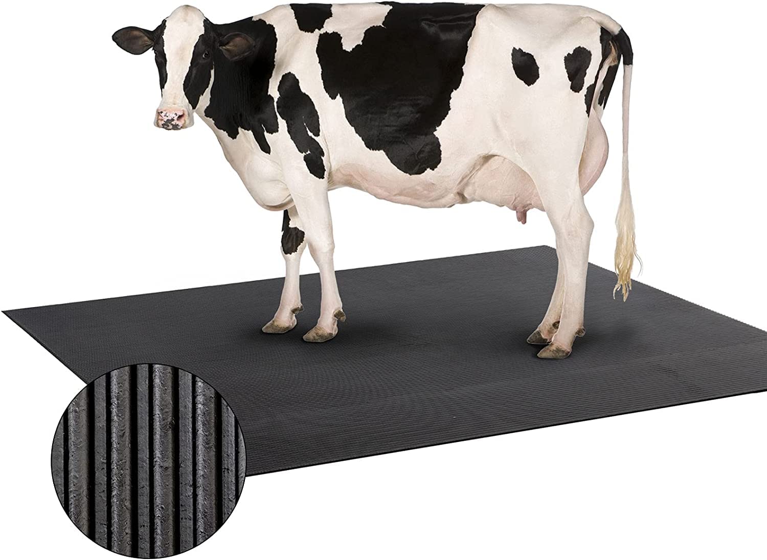 Floordirekt Tapis d'écurie en caoutchouc pour élevage d'animaux - Paddock sol protecteur articulations - Résistant intempéries nettoyage facile - Antidérapant picots