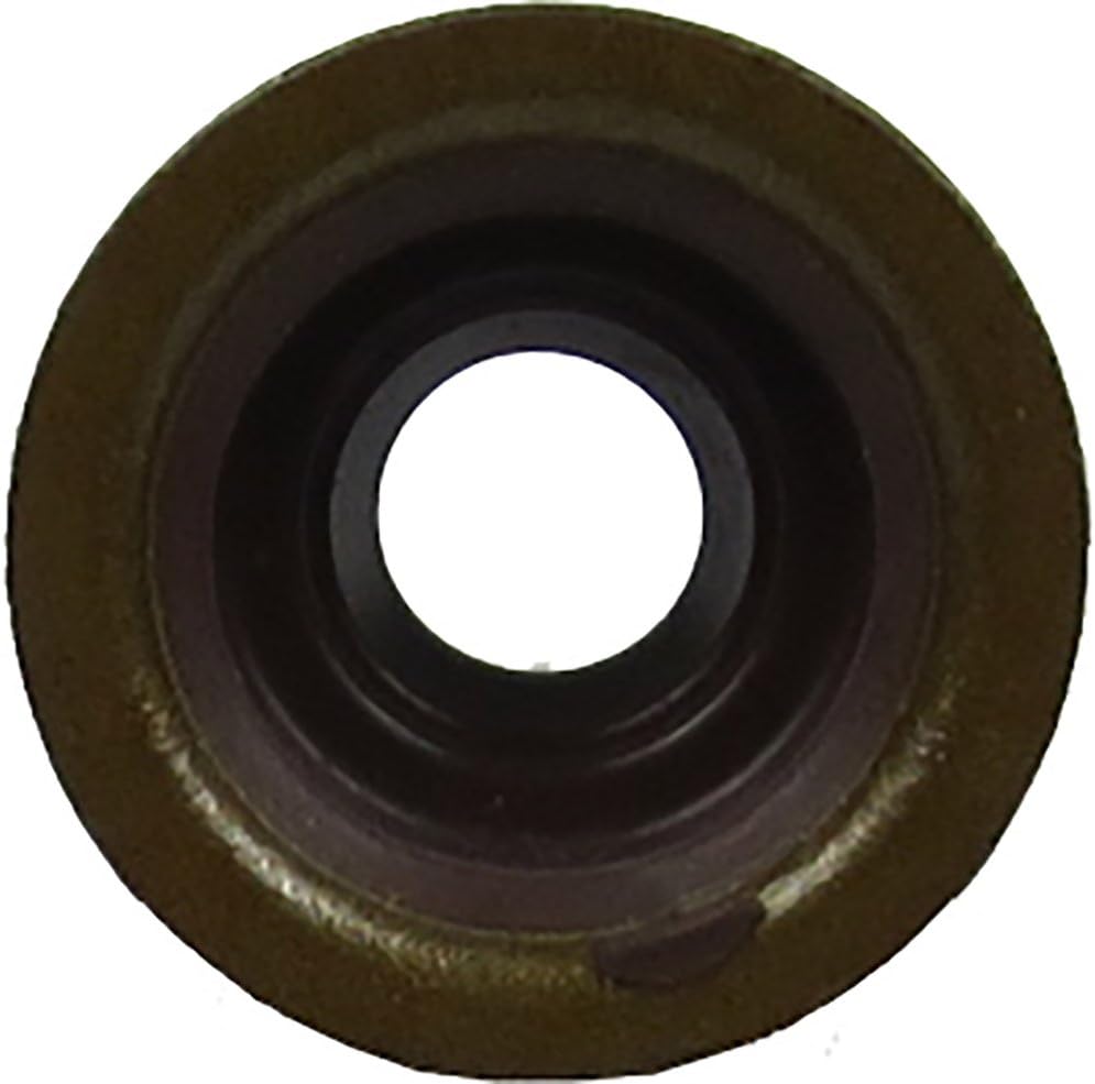 (2) EZGO 4-Cycle 1991-Up Gas 295 & 350 Cc Golf Carts Valve Stem Seal