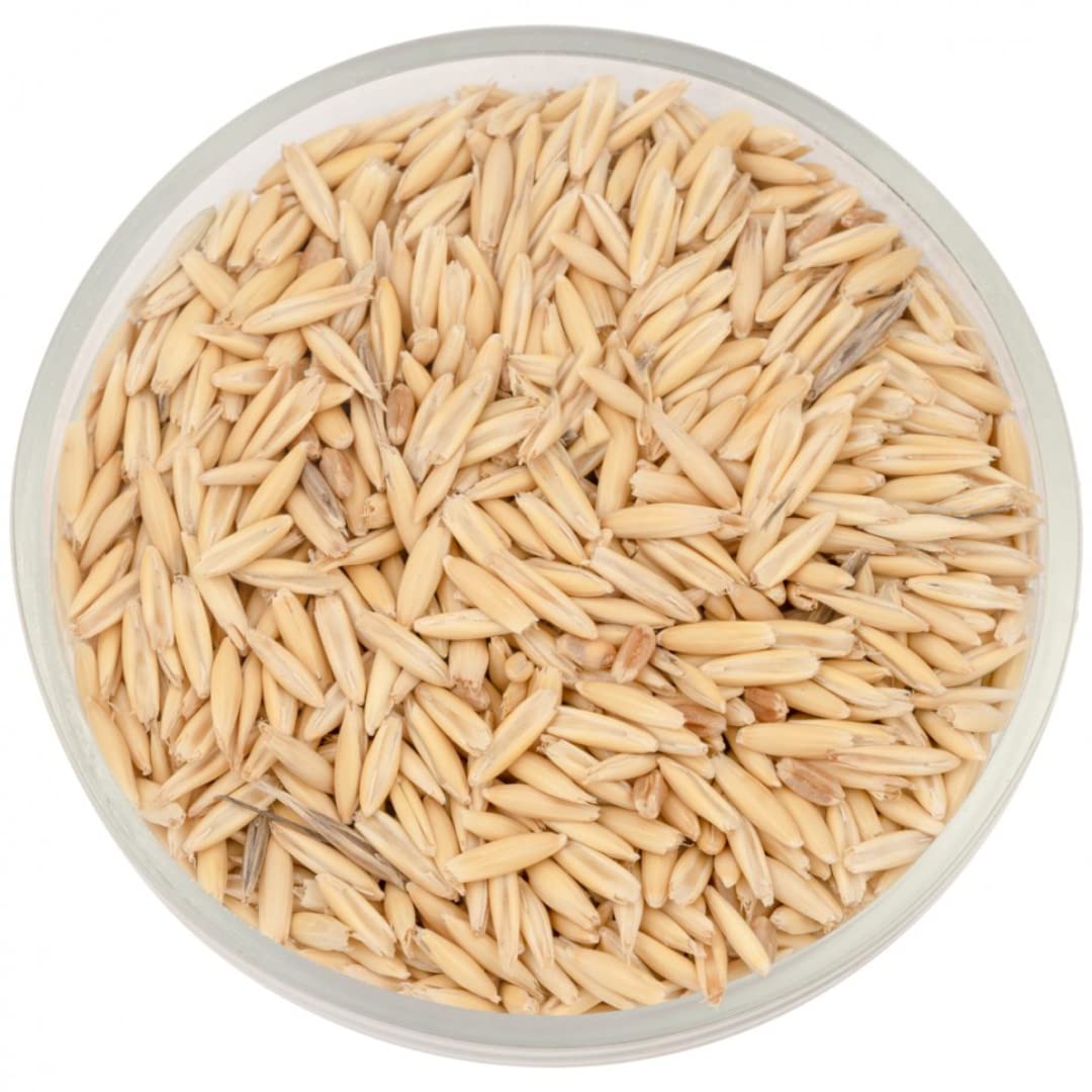 Pripton Oats Seeds for Birds, Oats Seeds Birds Food Nuts 0.9 kg Dry Adult, Young, Senior, New Born Bird Food (B0BMZDPZ8Y) Amazon Price History, Amazon Price Tracker