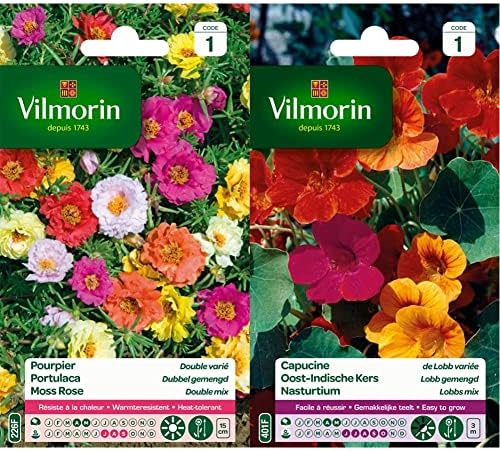 Valvola Angolare 1 A 2 Uscite Per Lavatrice E WC - Lega Resistente Con Doppio Controllo Autonomo (Argento/Grigio/Nero)