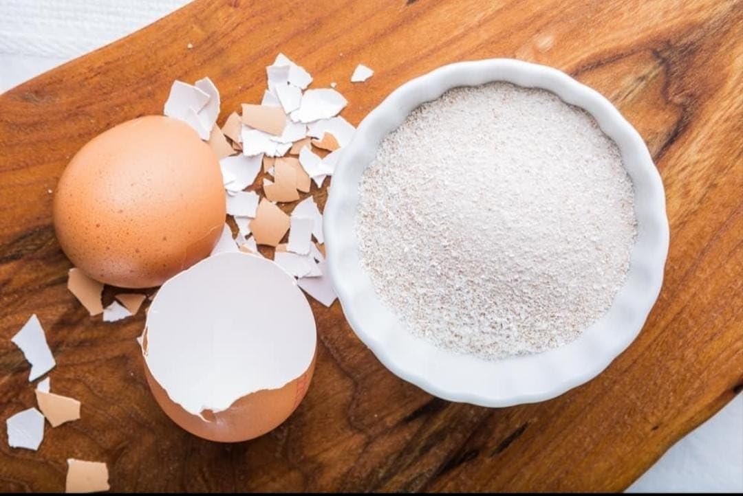 EGG SHELL POWDER (2 KG) FOR PLANT FERTILIZER PURPOSES IN RICH CALCIUM CONTENT - IT STIMULATEES THE PLANT ROOT GROWTH|| MSV ORGANICS-image-22