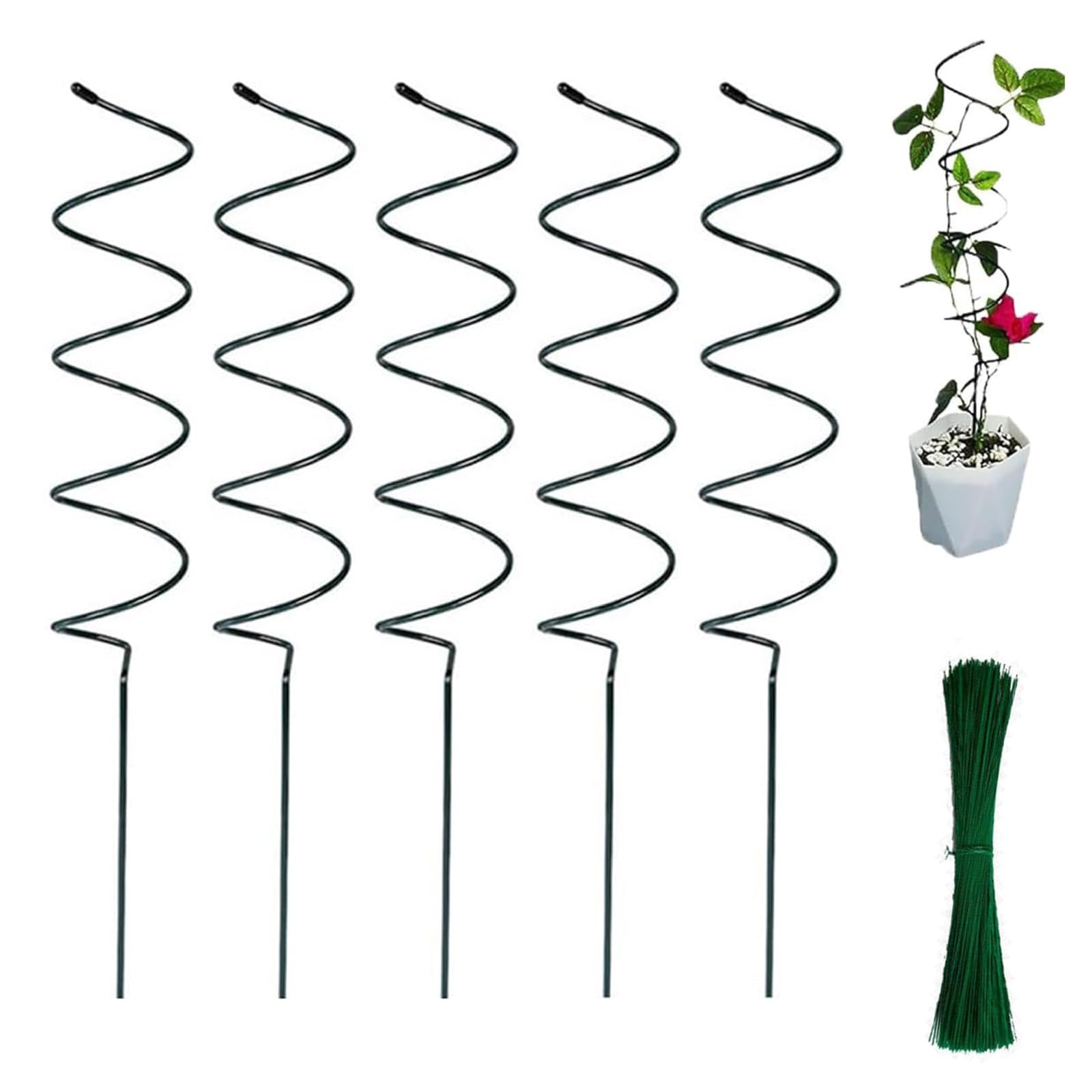 Tuteur tomate spirale pour un potager ordonné et des plantes épanouies