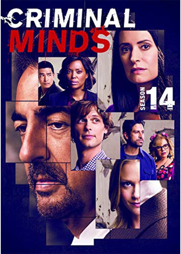 Paramount Criminal Minds: Season 14 (DVD) Multi