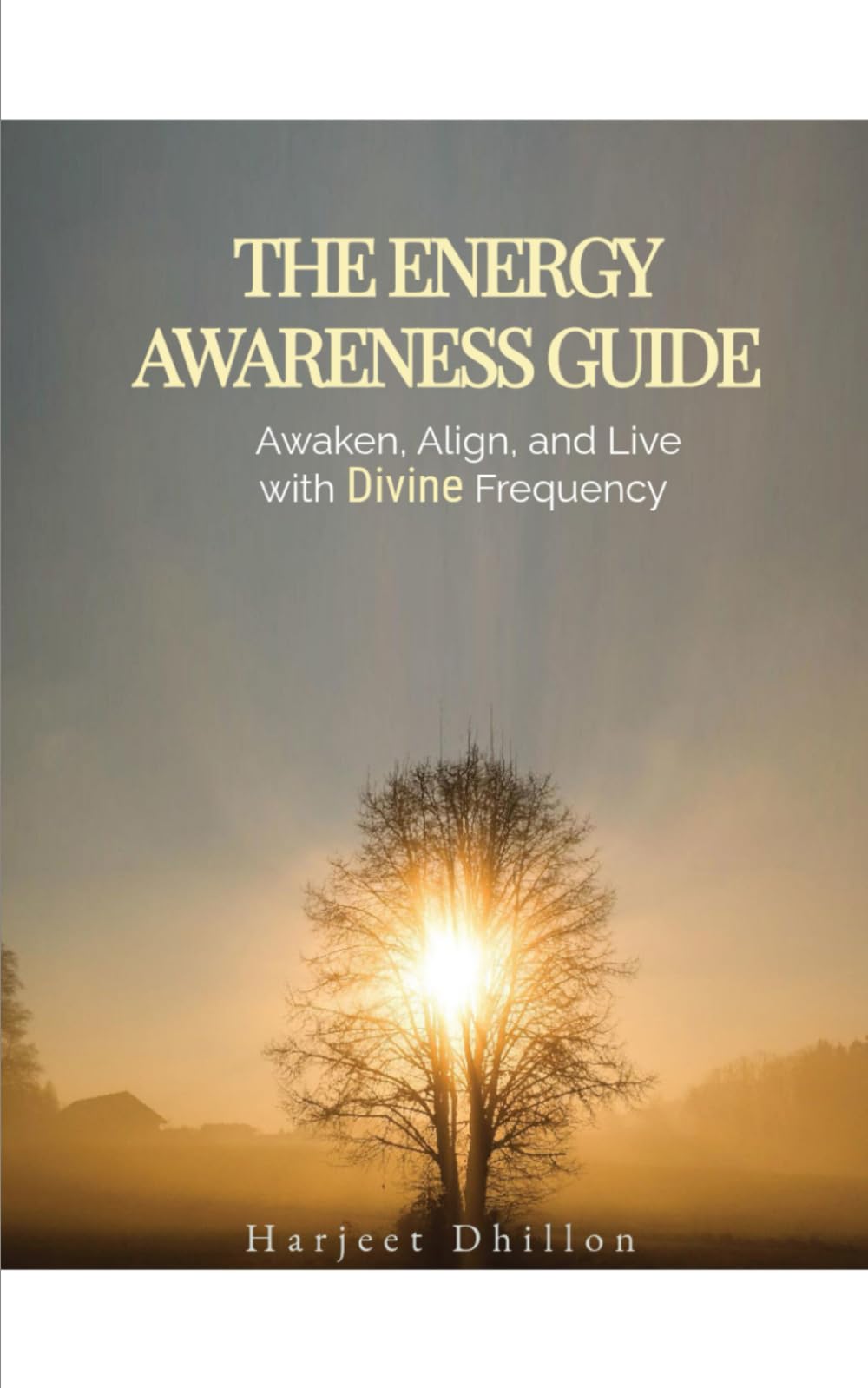 The Energy Awareness Guide: Awaken, Align and Live with Divine Frequency