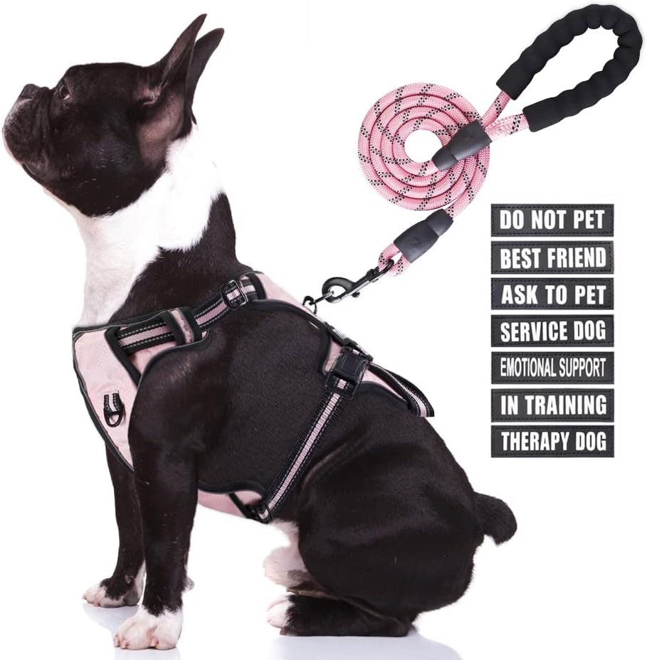 No Pull Dog Harness and Leash Set, Animire in Training Service Dog Vest with 7 Dog Patches, Emotional Support Therapy Dog Harness for Small, Medium, Large, and Extra-Large Dogs