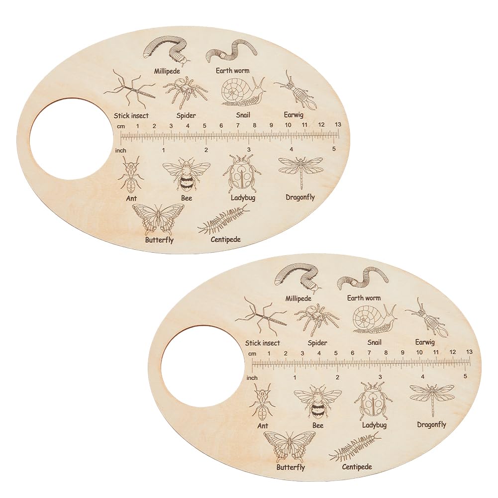 SUPERFINDINGS 2PCS Insect Wooden Custom Insects Exploration Board Educational Learning Gift Learning Insect Plywood Insects ID Search Board for Boys Girls 3-5 Early Education School