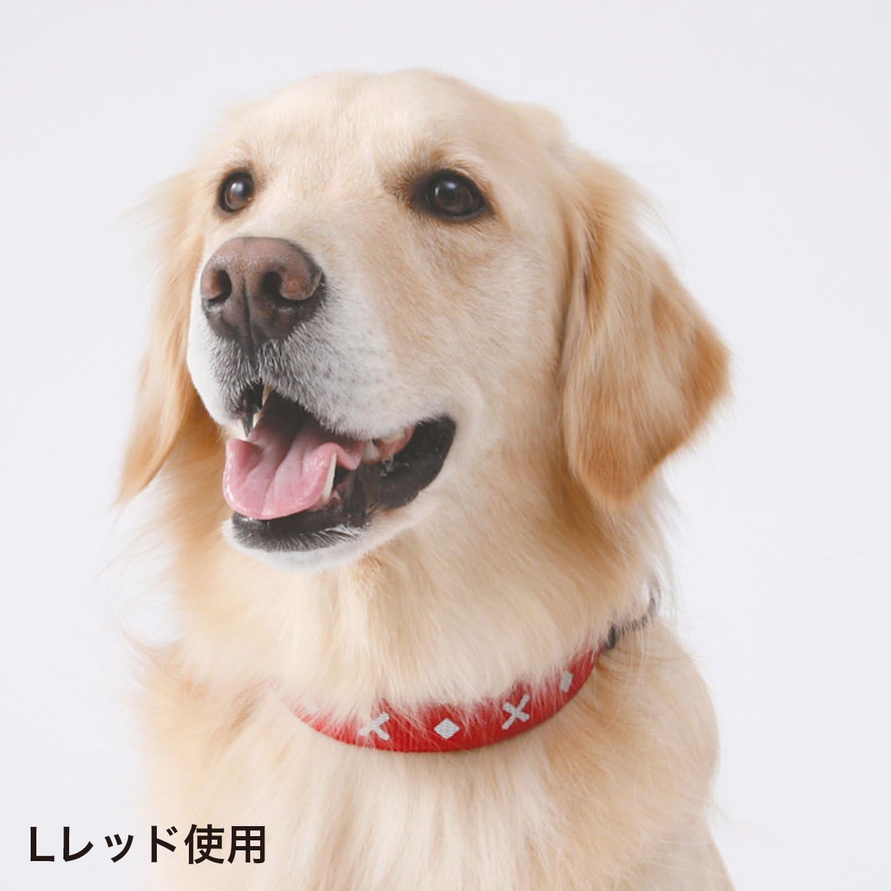 Petio Cross Diamond Color [M] (for Medium Dogs) Red [Collar for Dogs] (Japan Import)