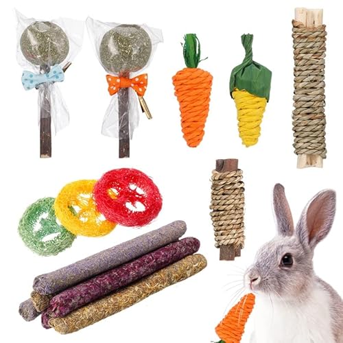 Fuyamp Jouets à Mâcher pour Lapin et Petits Animaux - Accessoires pour Cochon d'Inde, Hamster, Chinchilla, Gerbille - 15 Pièces