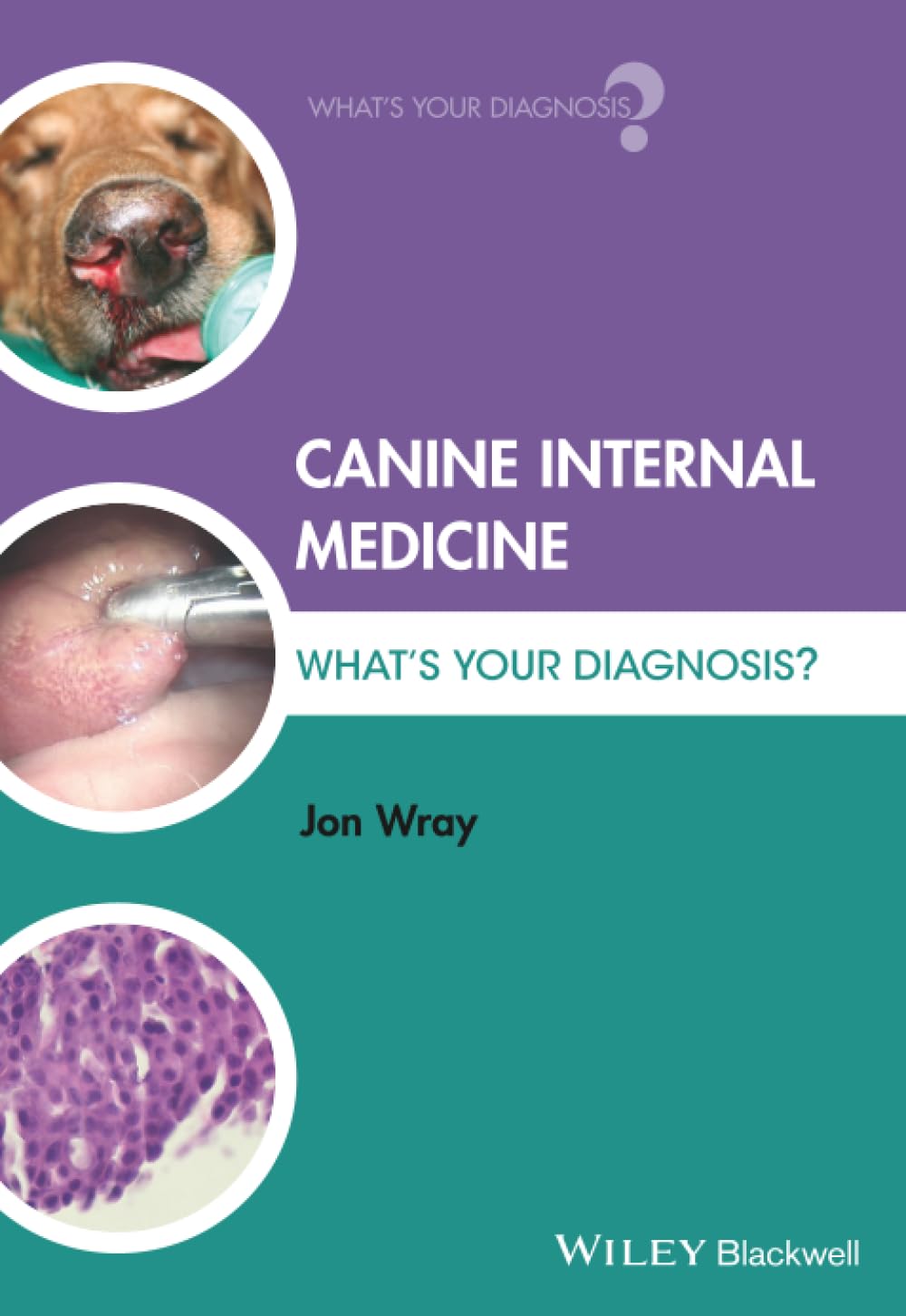 Canine Internal Medicine: What's Your Diagnosis?