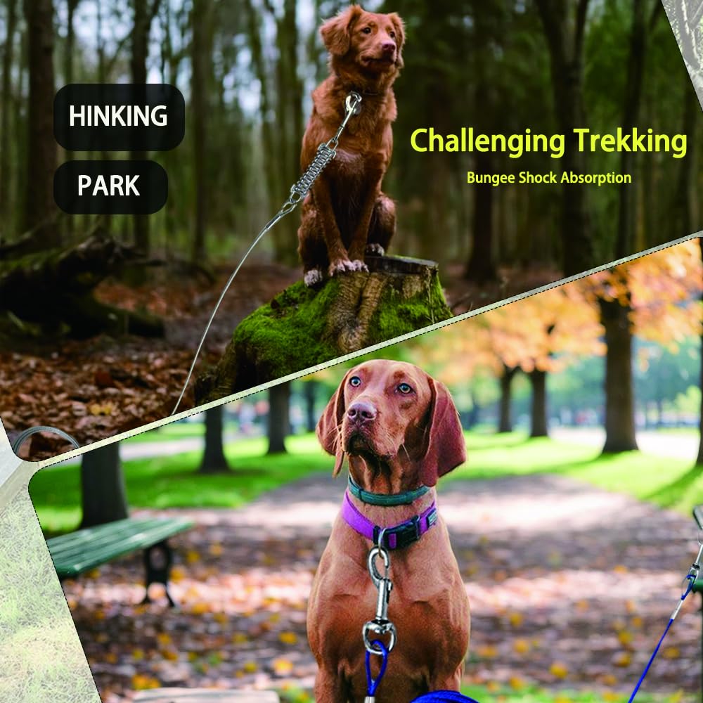 Correa Perro Grande para Exteriores 3 Metros | Correa De 300cm para Perros,Correas para Perros Largas y Resistentes con Cable de Acero (Plateado, 3 Metros Primavera)