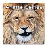 Kalender 2024-2024 Tier Selfie Wandkalender