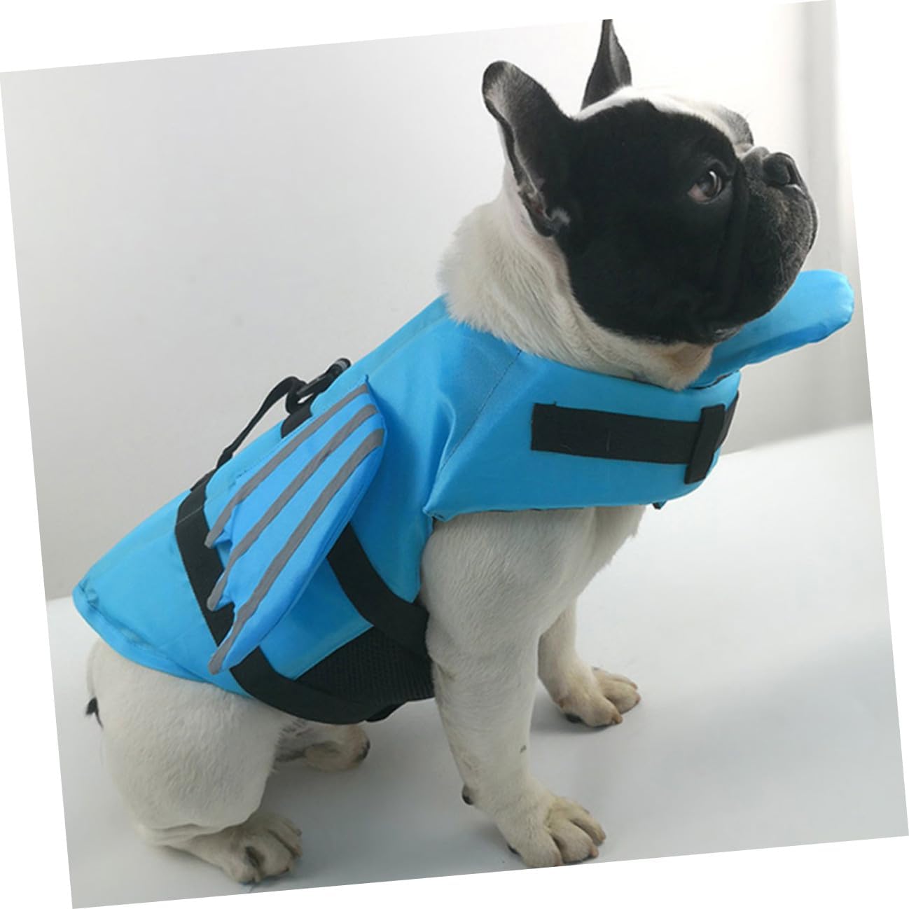 Ciieeo Reflective Dog Lifejacket Wear-Resistant Blue M Swimming Vest Professional Breathable Preserver for Outdoor Puppy Safety