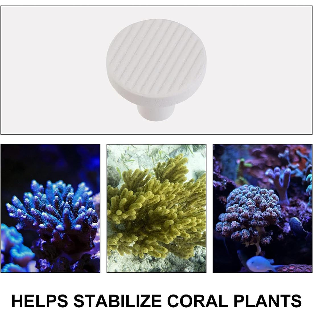 GGUFAY 10 Pièces Corail Frag Plug Céramique Frag Station Aquarium Corail Récif Base Support Corail Frag Stand Approvisionnements De Réservoir De Poissons 2. 3Cm