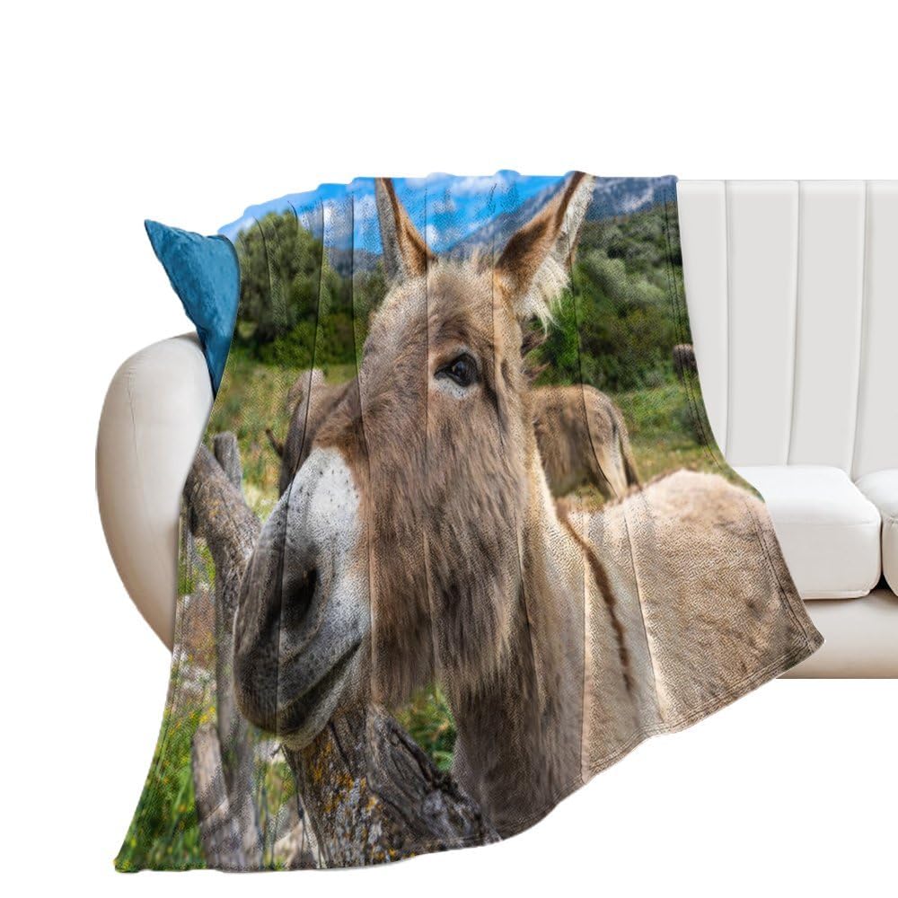 Zhimahou 60x50inches (150x125cm) Throw Blanket, Funny Portrait, Donkey in The Wild Print, Warm Cozy Blanket, Plush Comfortable Blanket Valentines Gifts